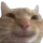 hehecat