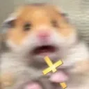 5_scared_hamster