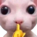 shhhhh