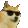 Doge_Cool