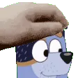 StripePet