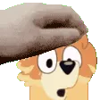 RadleyPet