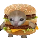 burber