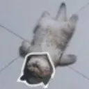 Meowsti_ded