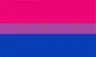 bi_flag