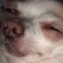 Uhms Discord emoji