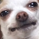 BruhY Discord emoji