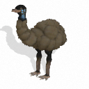 emu Discord emoji