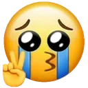cryingpeacesign