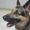 Dex