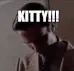 kitty