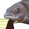 NotedFish NotedFish
