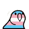 TransParrot