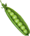 PeasinAPod