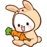 buncarrot buncarrot