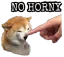 Q_NoHorny