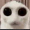DemonCat