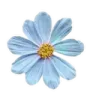 Blue Flower blue_flower Discord Emoji