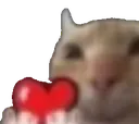 catheart