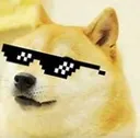 ProDoge Discord Emoji