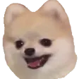 hecticRawr