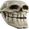 skull