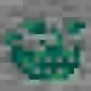 trollium