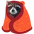 racoon