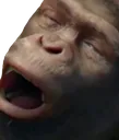 monkeygasm