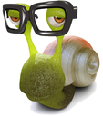 snailnerd