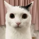 Screenshot_20230303143748733