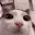 plink