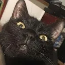 heyguys3