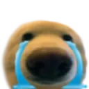 sadboop_FSI