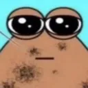 pou