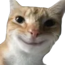 carsmile