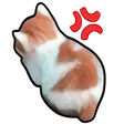 Angy