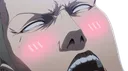 reinergasm