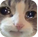 sadge Discord Emoji