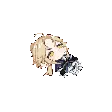 YanqingJumpscare YanqingJumpscare
