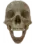 sk