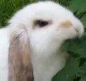 madbun