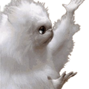 Why Discord emoji
