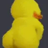 ducktwerk