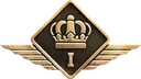Ranked_Play_Season_1_Logo_WWII Discord Emoji