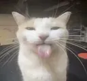 silly