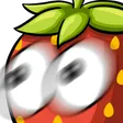 braryEyes