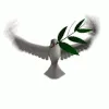 MA_FlyingHigh