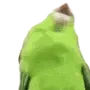 0birb2AAA 0birb2AAA