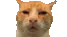 HUH
